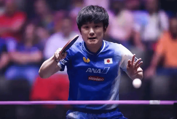 开云体育官网-波兰乒乓球队轻取法国乒乓球队，张本智和绝境逆转的简单介绍